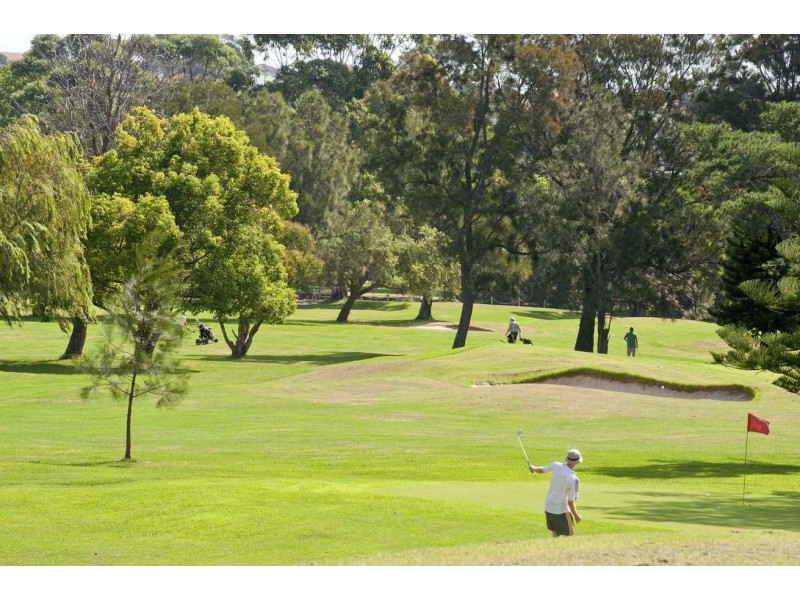 5 Wharf Street, Marrickville NSW 2204