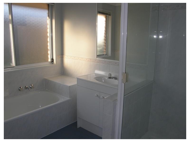 1 sailfish, Birkdale QLD 4159