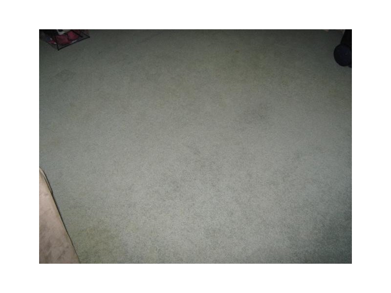 34 PARNELL STREET, Ormiston QLD 4160