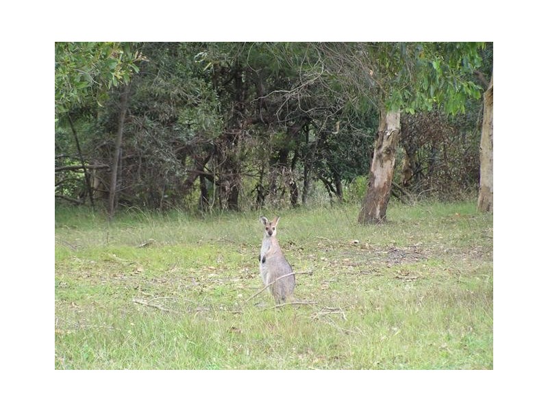 Victoria Point QLD 4165