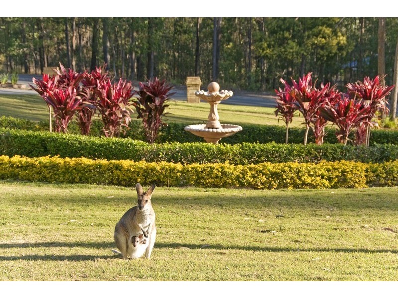 Mount Cotton QLD 4165