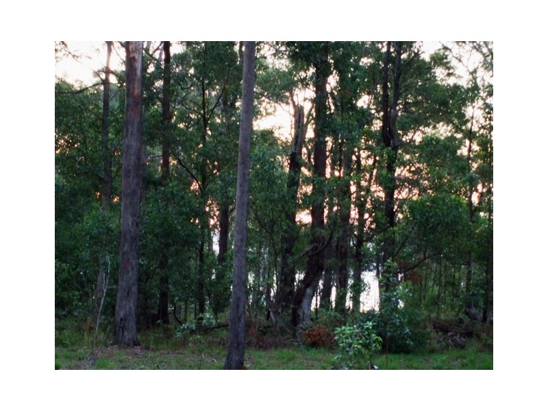 Russell Island QLD 4184