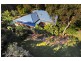 12 Korsman Drive, Thornlands QLD 4164
