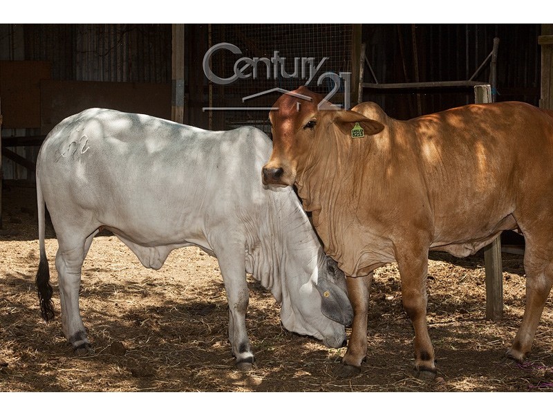 158 Fischer Road, Carbrook QLD 4130