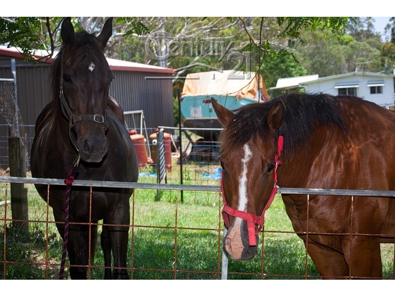 158 Fischer Road, Carbrook QLD 4130