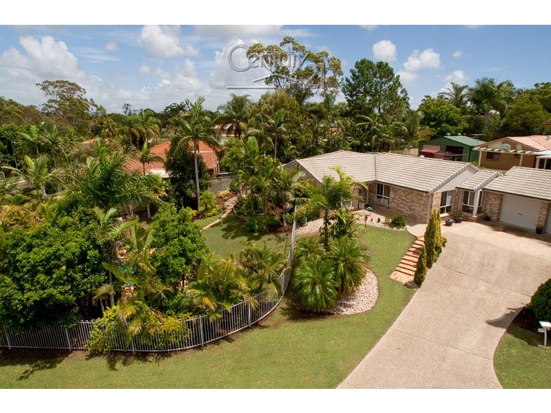12 Bellini court, Alexandra Hills QLD 4161