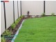 14 Lungfish Circuit, Bongaree QLD 4507