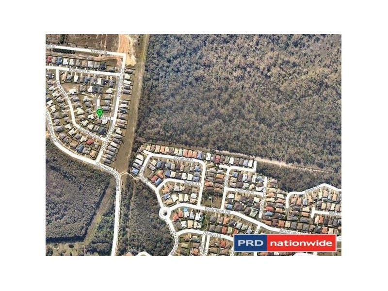 1 Riceflower Court, Ningi QLD 4511