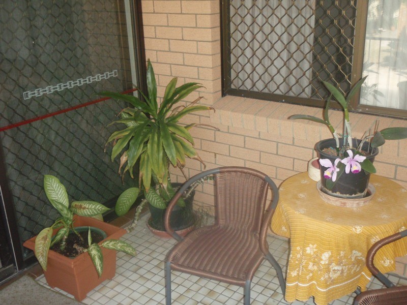 Bongaree QLD 4507