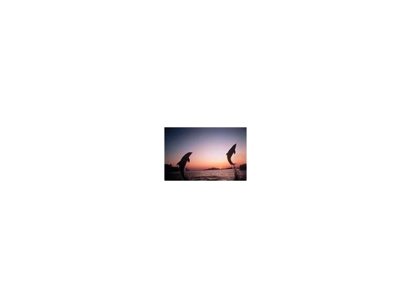 Banksia Beach QLD 4507