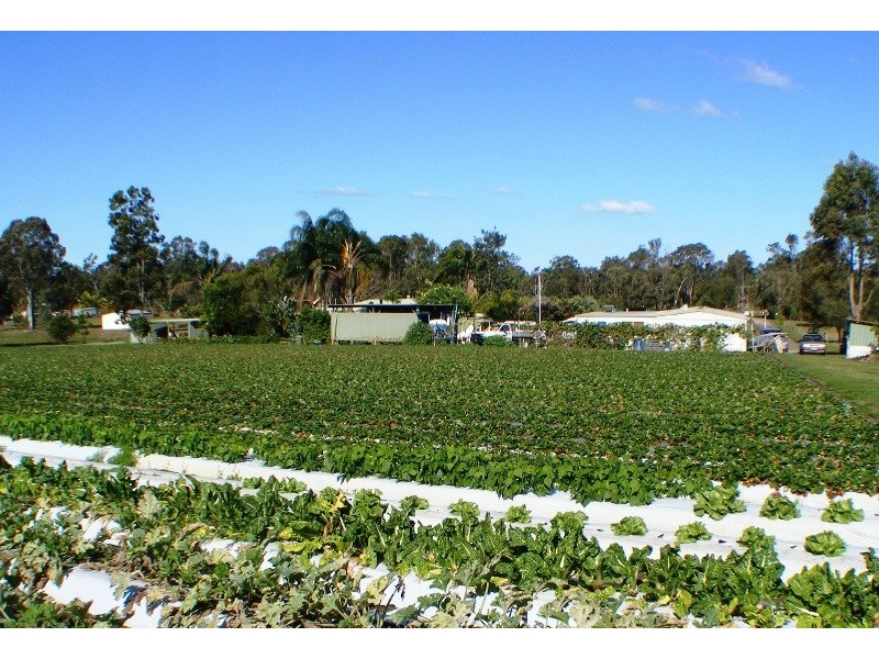 Caboolture QLD 4510