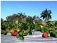 Caboolture QLD 4510