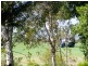 211 Endeavour Drive, Banksia Beach QLD 4507