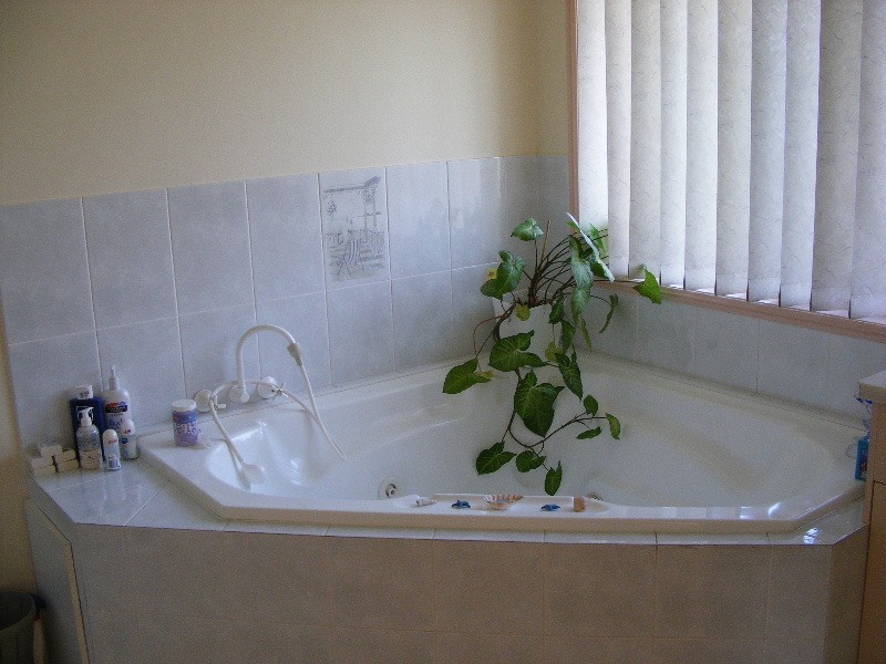 Banksia Beach QLD 4507