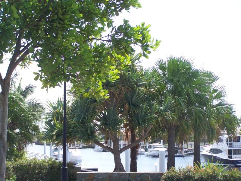 Banksia Beach QLD 4507
