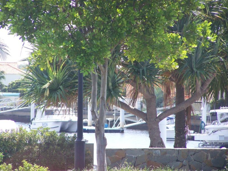 Banksia Beach QLD 4507