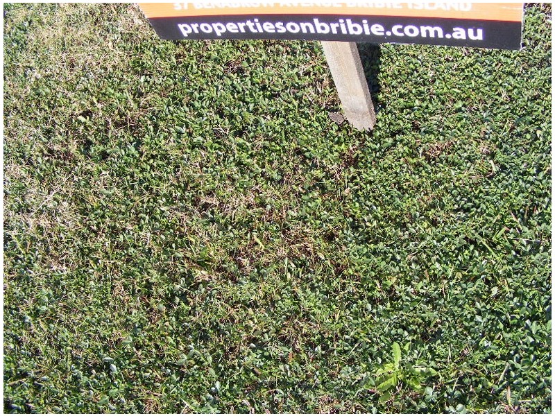 Banksia Beach QLD 4507