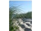69 Raptor Parade, Banksia Beach QLD 4507