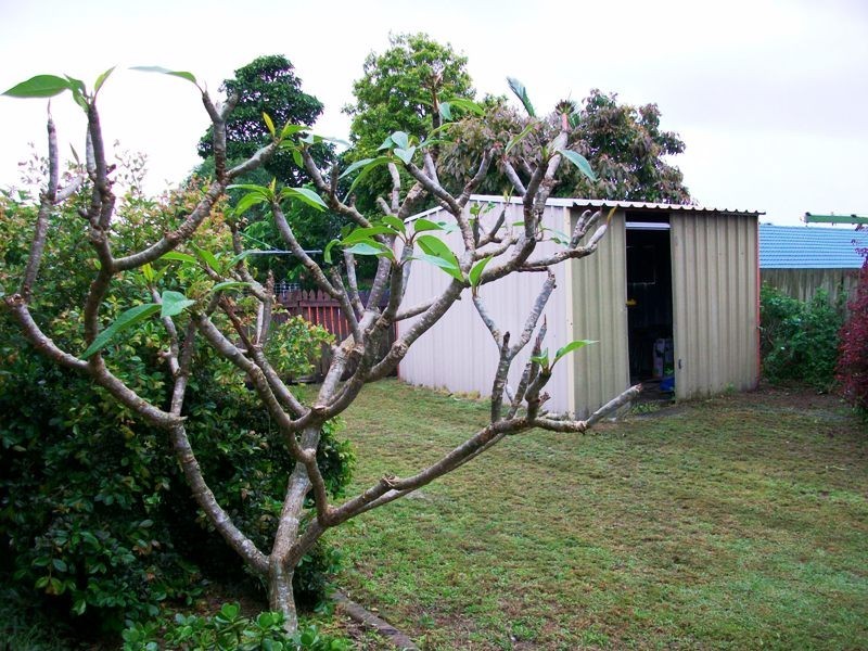22 Pimpala Cres, Bribie Island QLD 4507