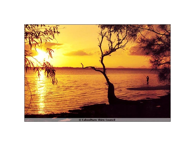 6 The Landing, Banksia Beach QLD 4507