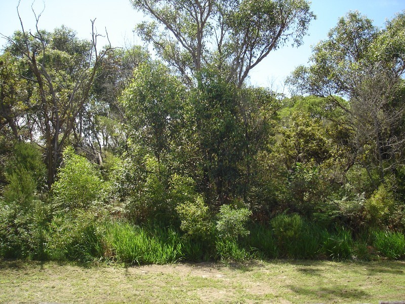 Bribie Island QLD 4507