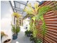 2 Windward Place, Banksia Beach QLD 4507