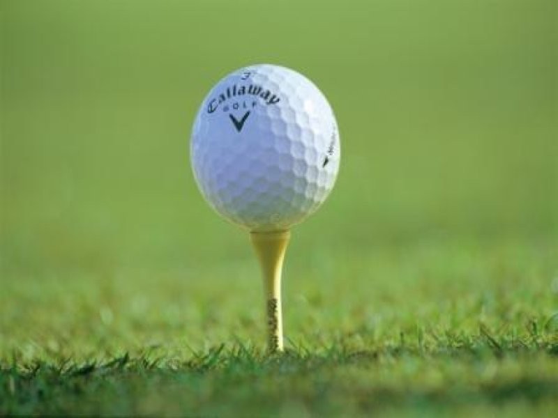 40 Blueberry Street, Banksia Beach QLD 4507