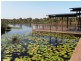 26 Treefrog Street, Ningi QLD 4511