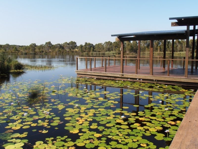 26 Treefrog Street, Ningi QLD 4511