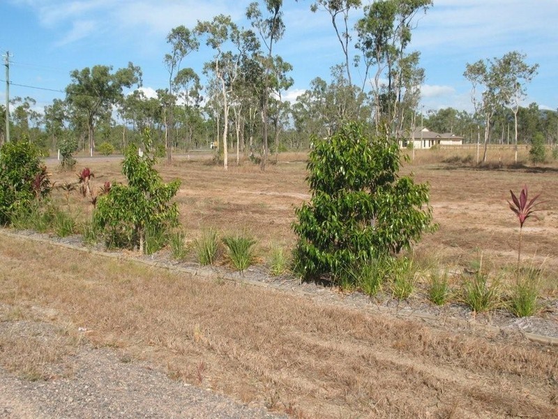 2 BLACKVIEW AVENUE, Black River QLD 4818