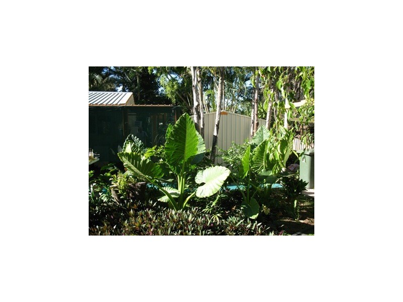 10  Tait Street, Kelso QLD 4815