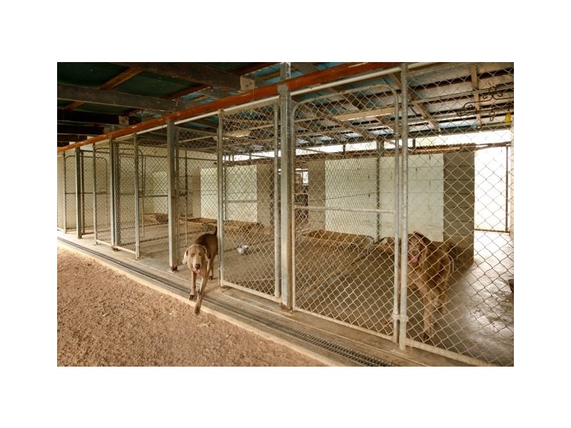 40961  Bruce Highway, Black River QLD 4818