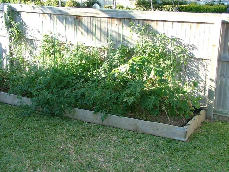 11 Mirada Court, Kirwan QLD 4817