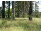 Lot 630 Neerdie Rd, Glenwood QLD 4570