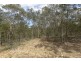 211-217 Harrison Road, Cedar Vale QLD 4285