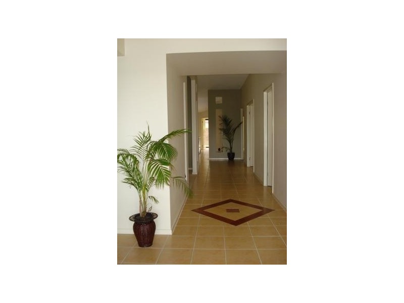 53 Petigrain Aveune, Palmwoods QLD 4555