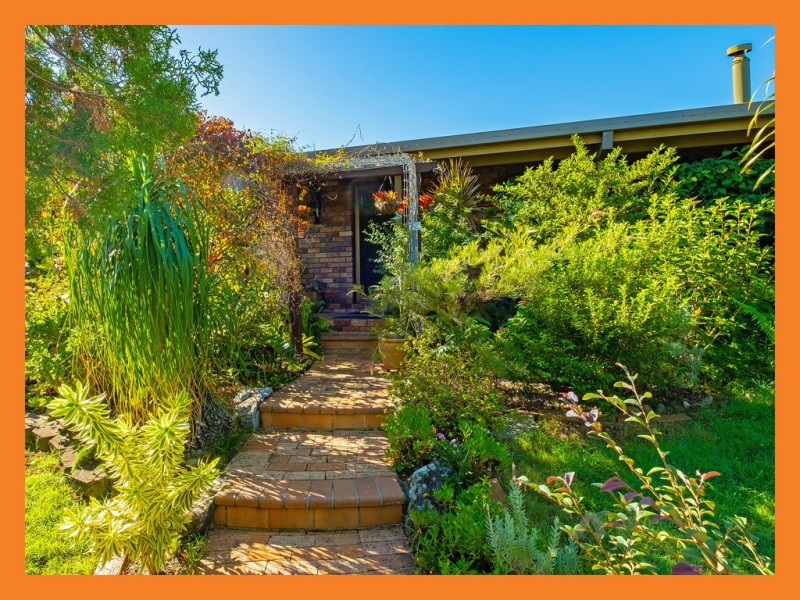 39 Macaranga Street, Algester QLD 4115
