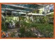 43-47 Orion Road, Cedar Vale QLD 4285
