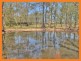 216-226 Teviot Road, North Maclean QLD 4280