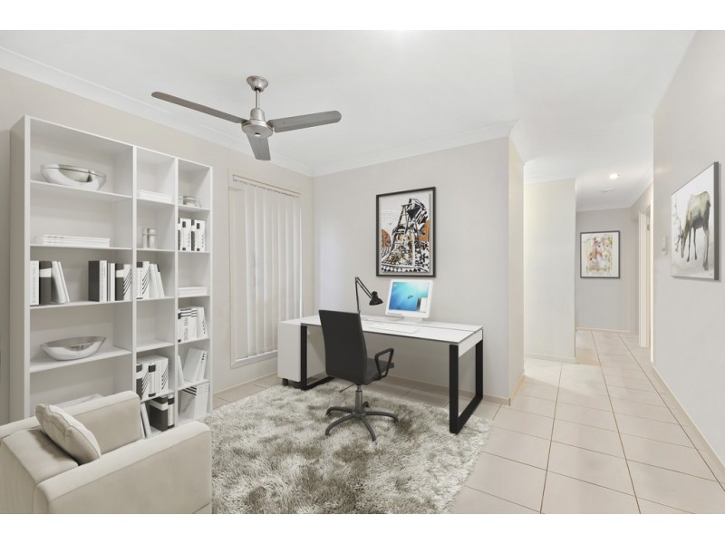14 Walter Williams Cres, Redbank Plains QLD 4301
