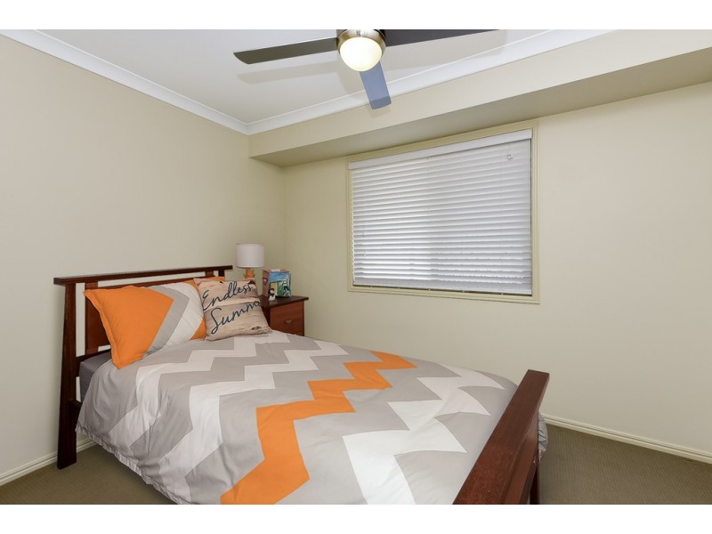 56 Muscari Cres, Drewvale QLD 4116
