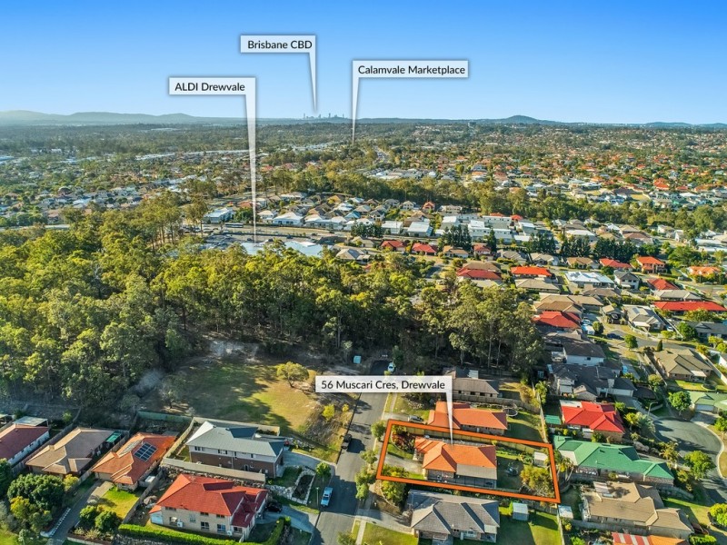 56 Muscari Cres, Drewvale QLD 4116