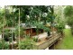 30 Lionheart Street, Forestdale QLD 4118