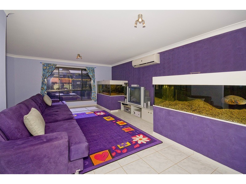55 Conifer Street, Hillcrest QLD 4118