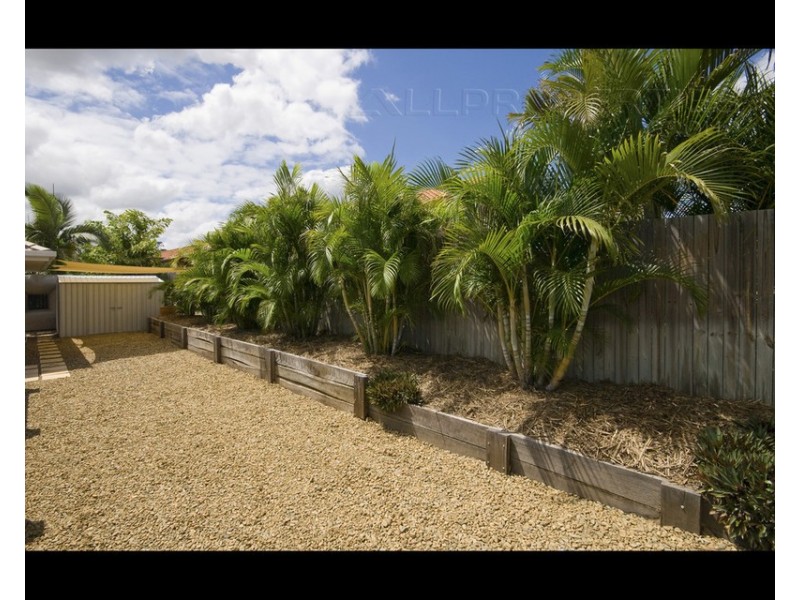 3 Cocoparra Cres, Parkinson QLD 4115