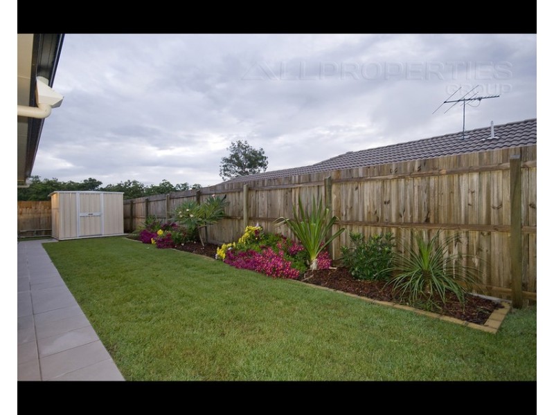 20 Tweeddale Cct, Drewvale QLD 4116
