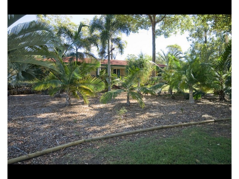 19 Bligh Pl, Drewvale QLD 4116
