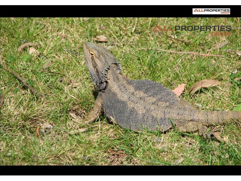 Lot 37 Sandy Court, Laidley Heights QLD 4341