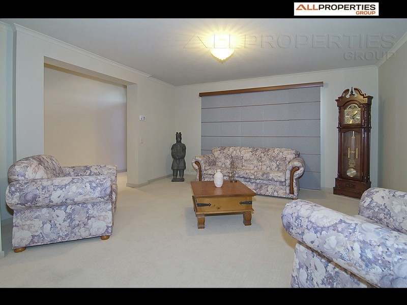 166  Macquarie Way, Drewvale QLD 4116