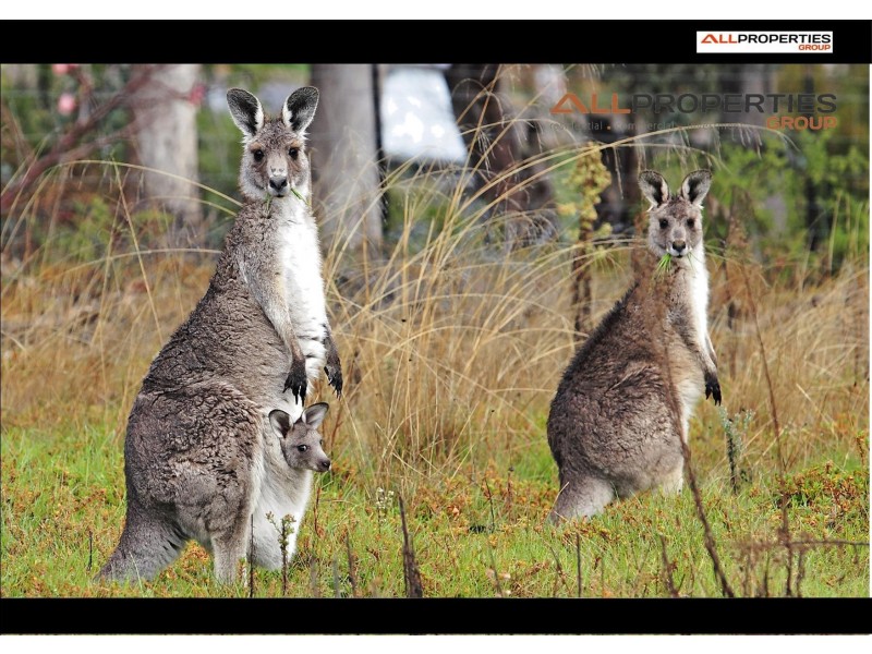 Laidley Heights QLD 4341